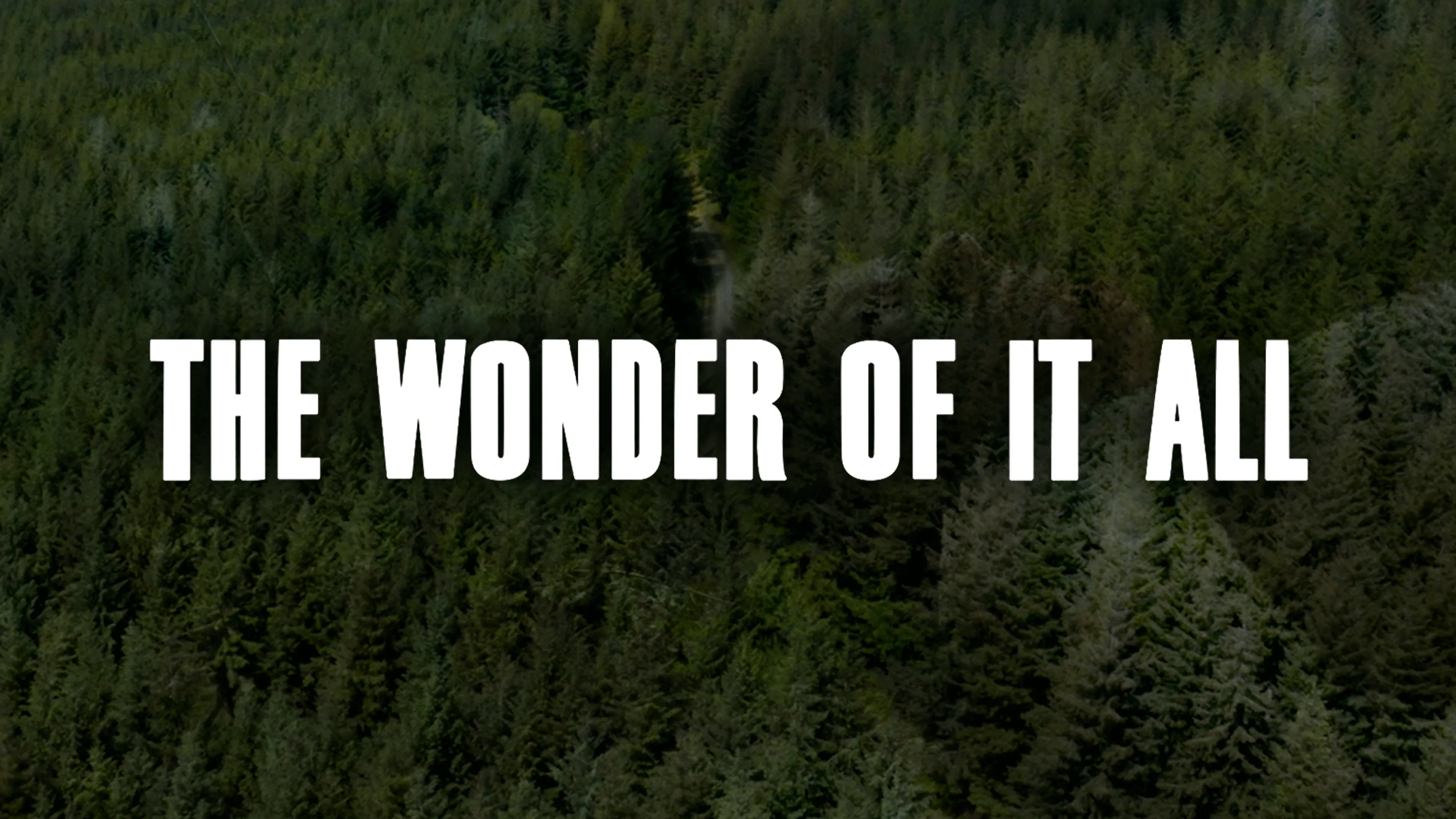 The Wonder of It All poster